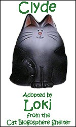 Clyde Clyde adopted by Loki